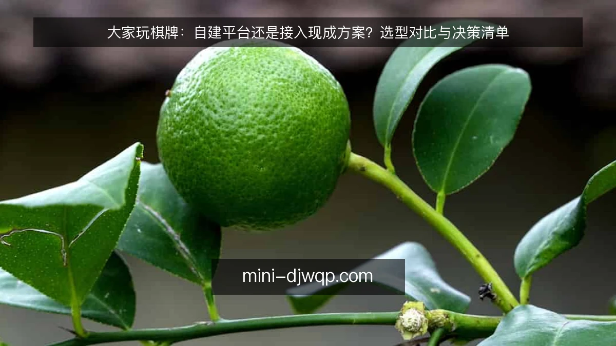 大家玩棋牌：自建平台还是接入现成方案？选型对比与决策清单