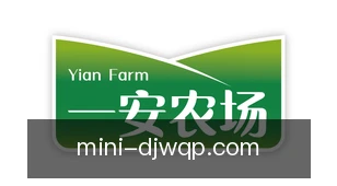 大家玩棋牌